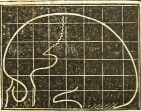 An illustration from A system of phrenology, 1835, leaf 149