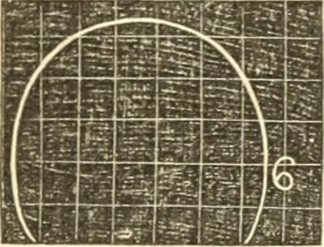An illustration from A system of phrenology, 1835, leaf 192