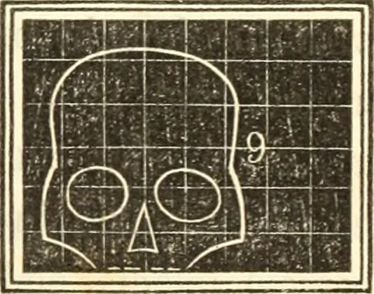 An illustration from A system of phrenology, 1835, leaf 232