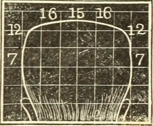 An illustration from A system of phrenology, 1835, leaf 306