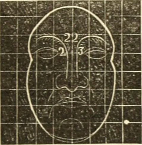 An illustration from A system of phrenology, 1835, leaf 384