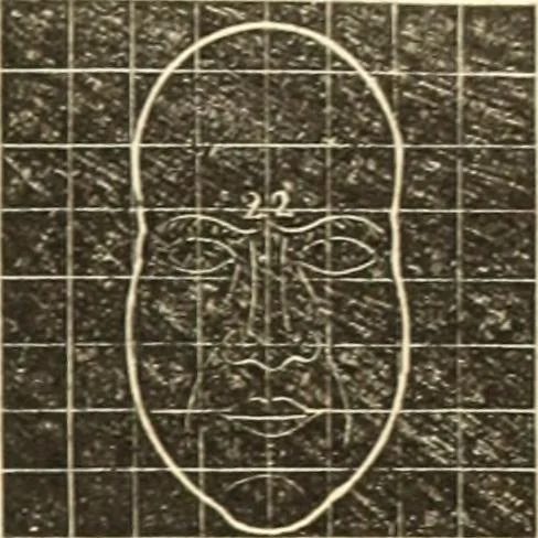 An illustration from A system of phrenology, 1835, leaf 384