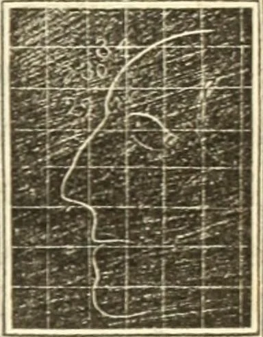 An illustration from A system of phrenology, 1835, leaf 426