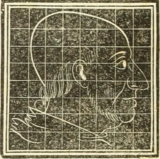 An illustration from A system of phrenology, 1835, leaf 563