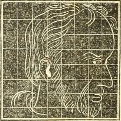 An illustration from A system of phrenology, 1835, leaf 563