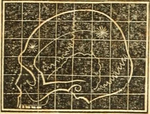 An illustration from A system of phrenology, 1835, leaf 599