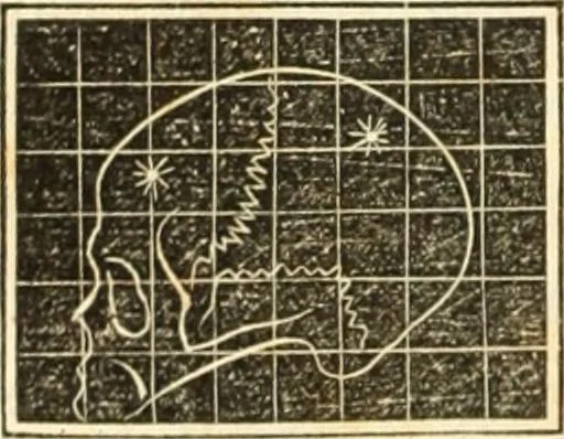 An illustration from A system of phrenology, 1835, leaf 601