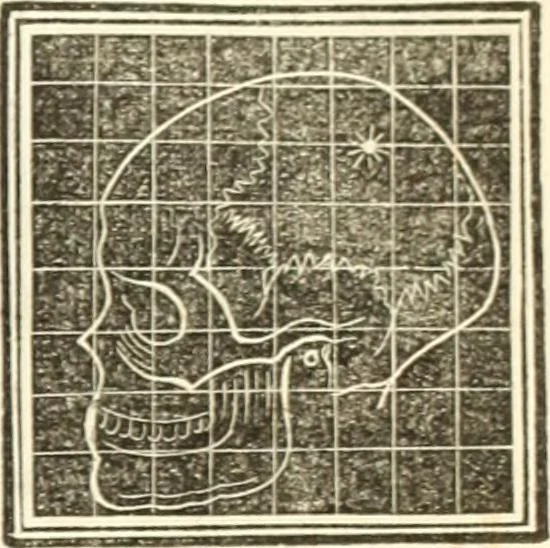 An illustration from A system of phrenology, 1835, leaf 604