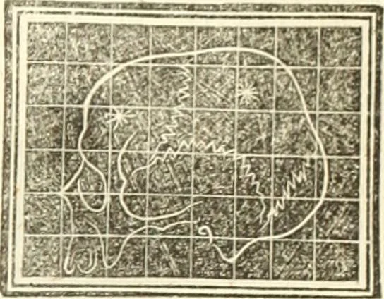 An illustration from A system of phrenology, 1835, leaf 606
