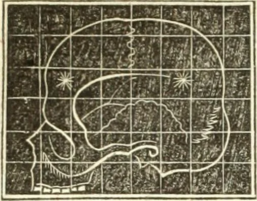 An illustration from A system of phrenology, 1835, leaf 607