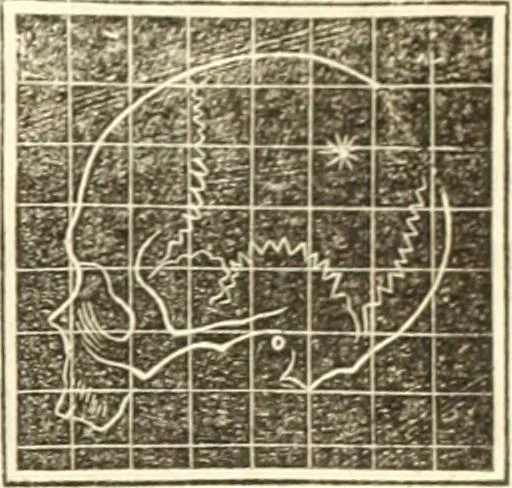 An illustration from A system of phrenology, 1835, leaf 608