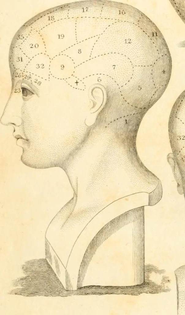 An illustration from A system of phrenology, 1835, leaf 9