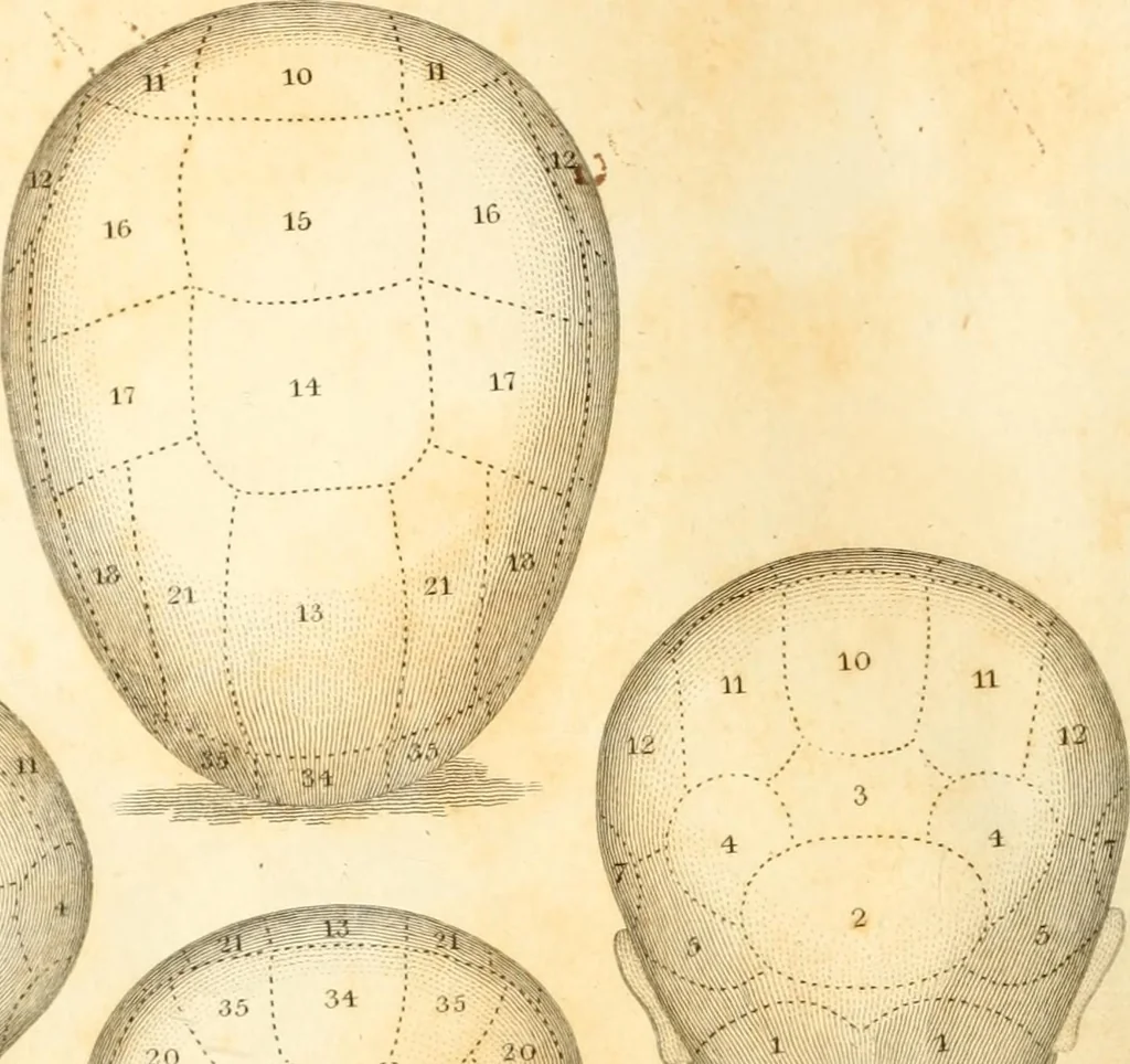 An illustration from A system of phrenology, 1835, leaf 9