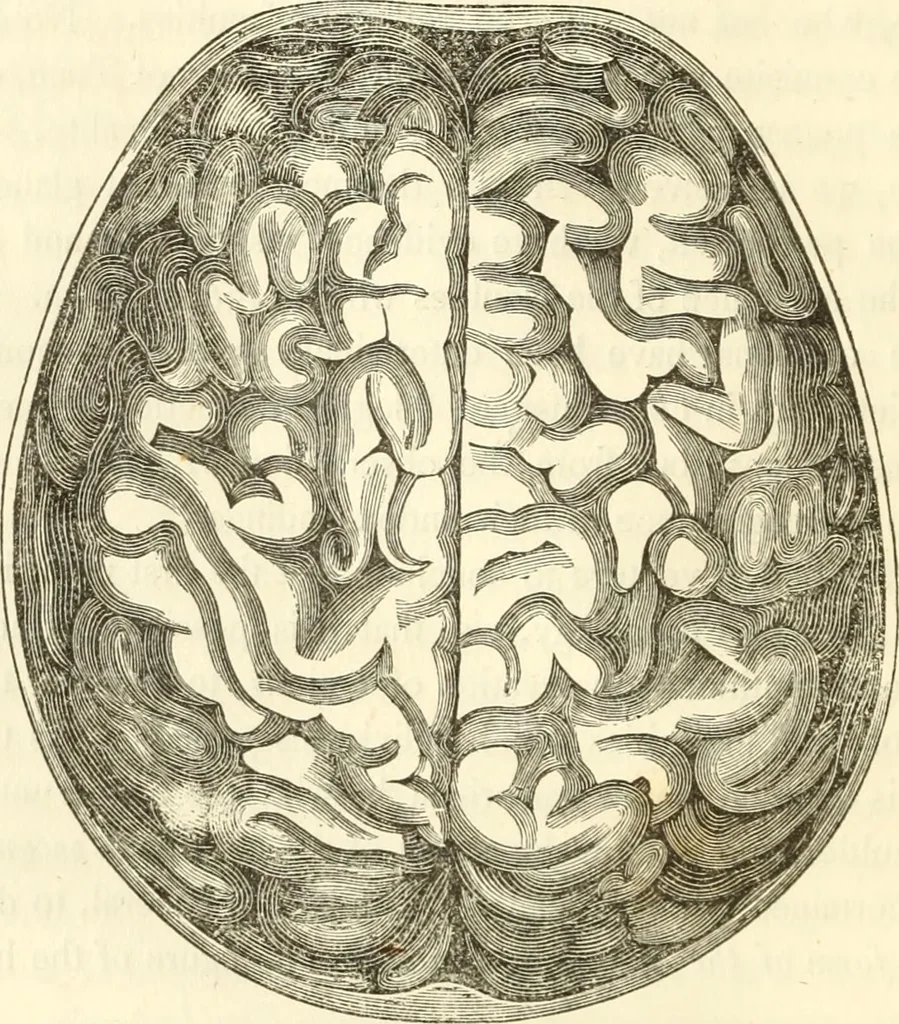 An illustration from A system of phrenology, 1835, leaf 91