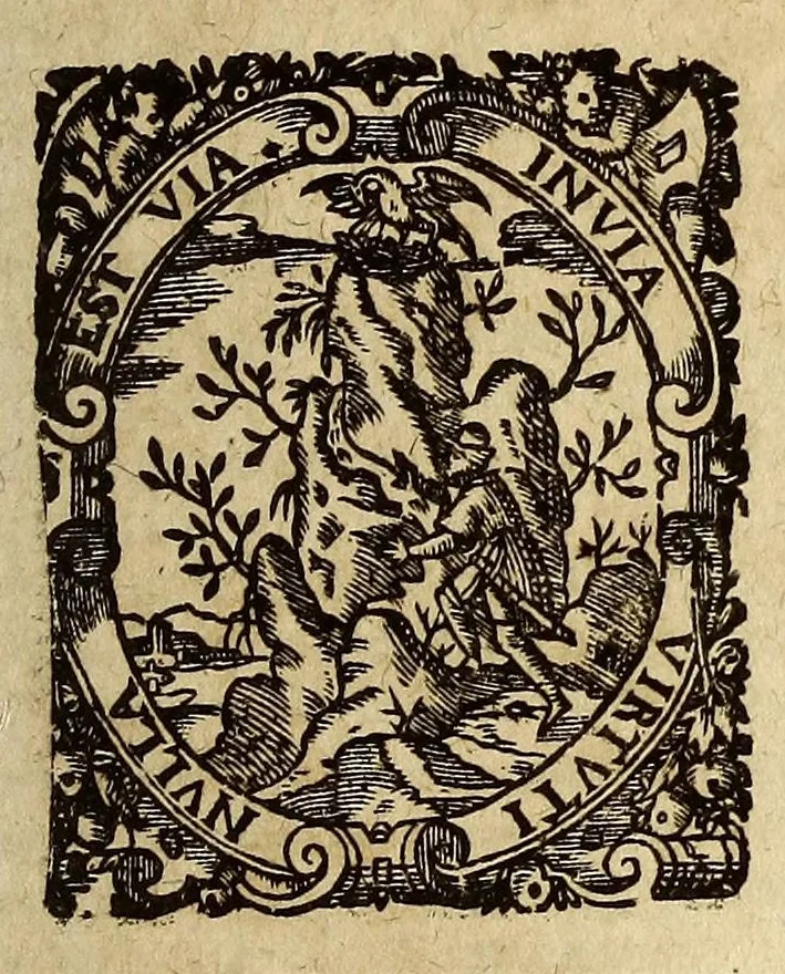 An illustration from Systema compendiosum totius mathematices, hoc est, geometriæ, opticæ, astronomiæ et geographiæ,, 1621, leaf 141