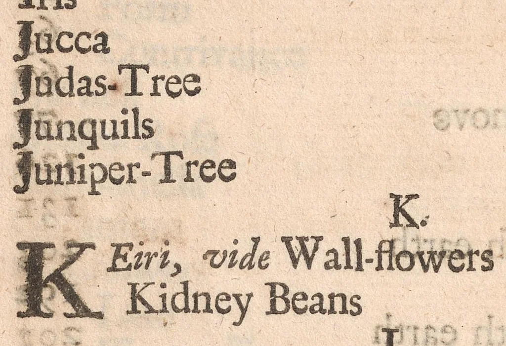 An illustration from Systema horti-culturæ, or, The art of gardening : in three books ... : illustrated with sculptures, representing the form of gardens, according to the newest models, 1688, leaf 312