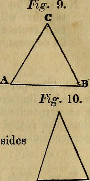 An illustration from A system of geometry and trigonometry, with a treatise on surveying; in which the principles of rectangular surveying, without plotting, are explained, 1835, leaf 14