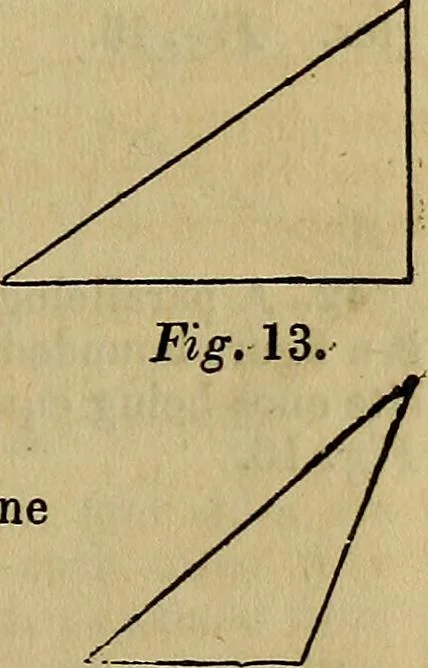 An illustration from A system of geometry and trigonometry, with a treatise on surveying; in which the principles of rectangular surveying, without plotting, are explained, 1835, leaf 14