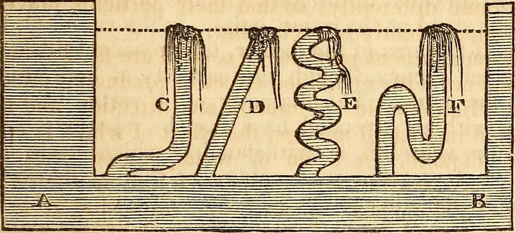 An illustration from A system of natural philosophy, designed for the use of schools and academies, 1845, leaf 134