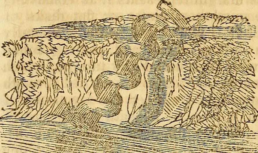 An illustration from A system of natural philosophy, designed for the use of schools and academies, 1845, leaf 177