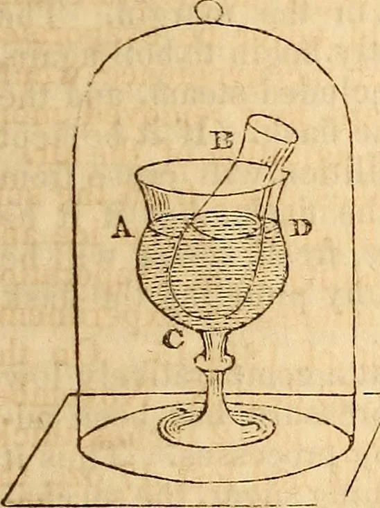 An illustration from A system of natural philosophy, designed for the use of schools and academies, 1845, leaf 312