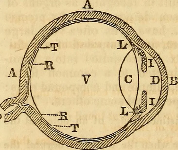 An illustration from A system of natural philosophy, designed for the use of schools and academies, 1845, leaf 377