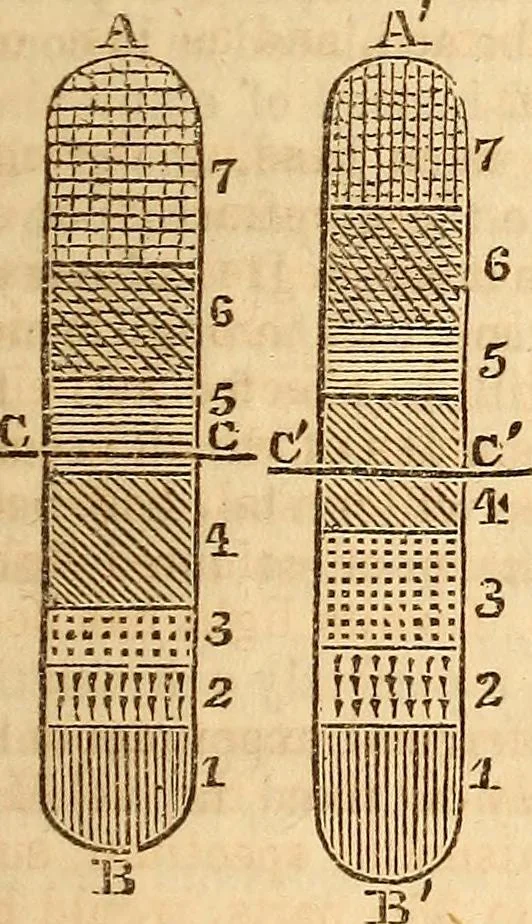 An illustration from A system of natural philosophy, designed for the use of schools and academies, 1845, leaf 394