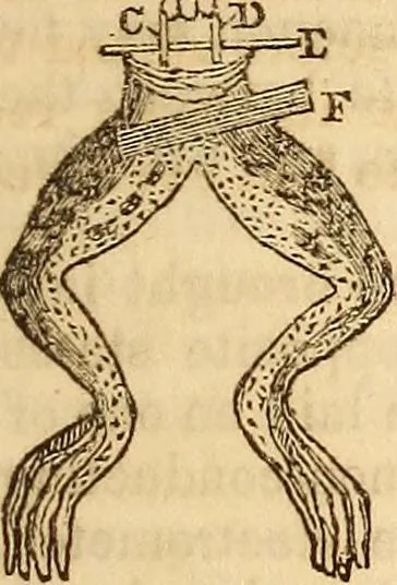 An illustration from A system of natural philosophy, designed for the use of schools and academies, 1845, leaf 440