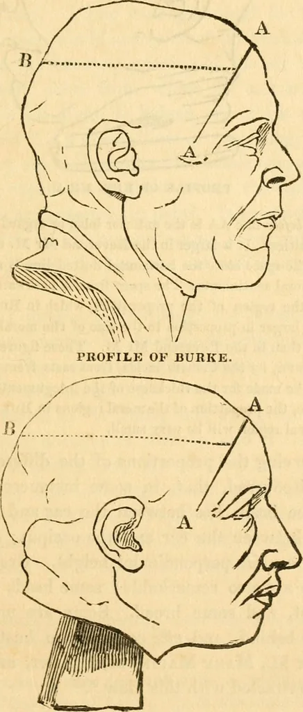 An illustration from A system of phrenology, 1830, leaf 108