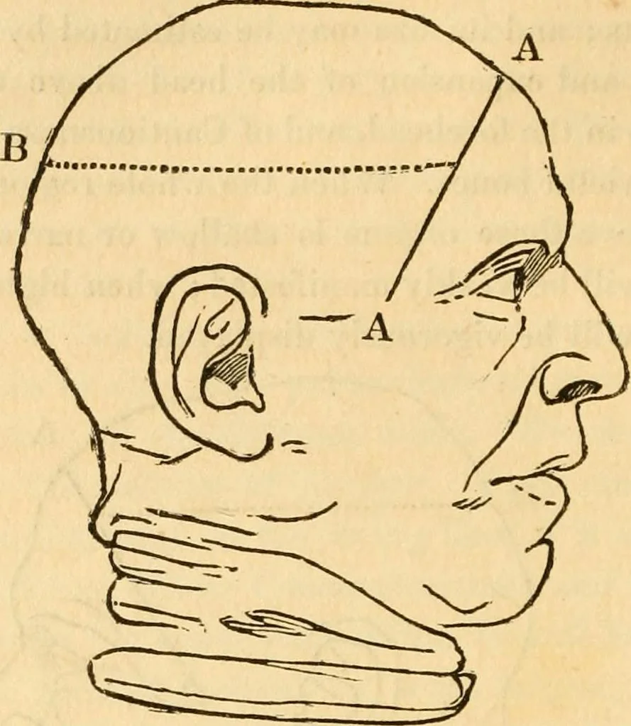 An illustration from A system of phrenology, 1830, leaf 109