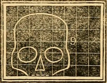 An illustration from A system of phrenology, 1830, leaf 242