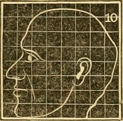 An illustration from A system of phrenology, 1830, leaf 254
