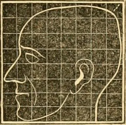 An illustration from A system of phrenology, 1830, leaf 254
