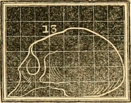 An illustration from A system of phrenology, 1830, leaf 282