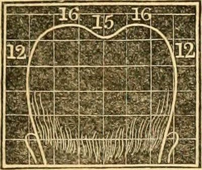 An illustration from A system of phrenology, 1830, leaf 320