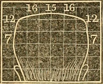 An illustration from A system of phrenology, 1830, leaf 320