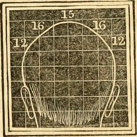 An illustration from A system of phrenology, 1830, leaf 320