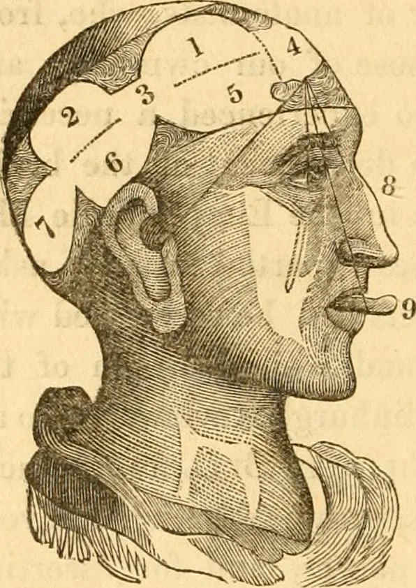 An illustration from A system of phrenology, 1830, leaf 43
