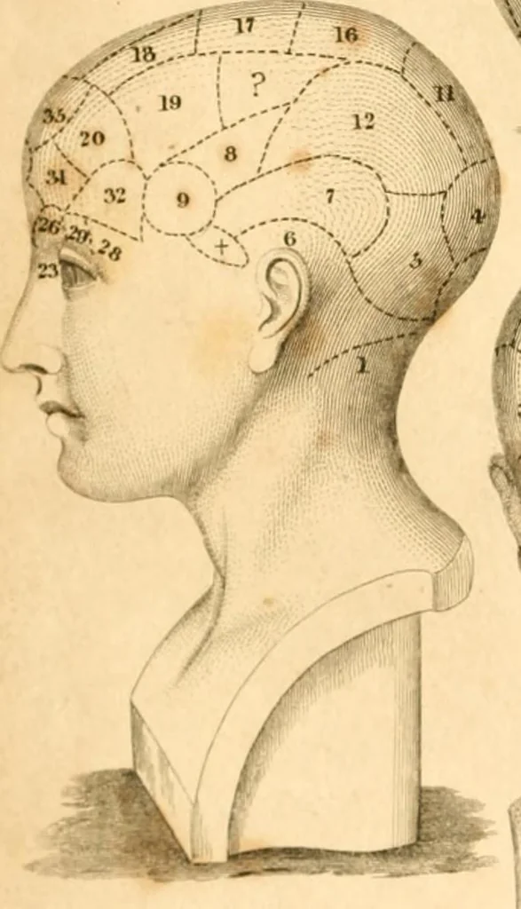 An illustration from A system of phrenology, 1830, leaf 5