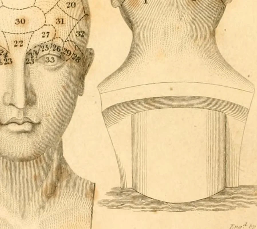 An illustration from A system of phrenology, 1830, leaf 5