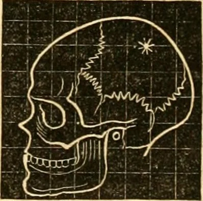 An illustration from A system of phrenology, 1830, leaf 638