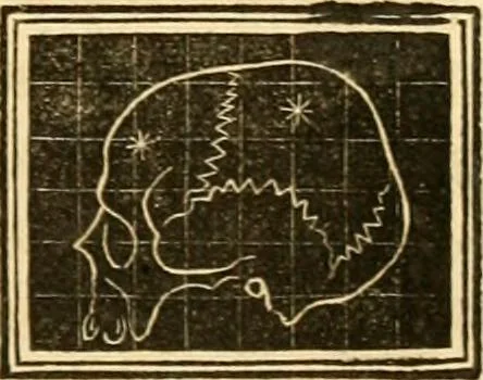 An illustration from A system of phrenology, 1830, leaf 640