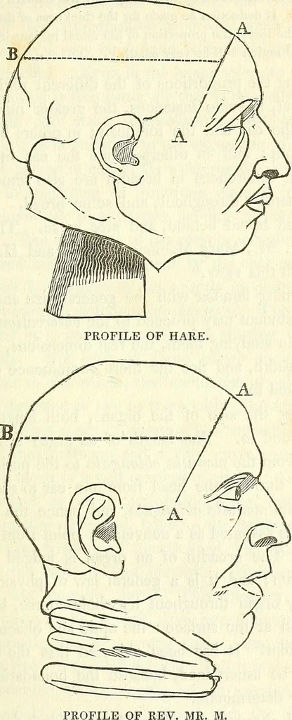 An illustration from A system of phrenology, 1839, leaf 102