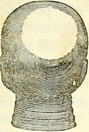 An illustration from A system of phrenology, 1839, leaf 130