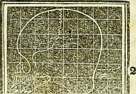 An illustration from A system of phrenology, 1839, leaf 145