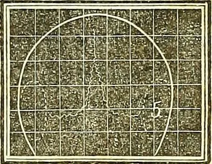 An illustration from A system of phrenology, 1839, leaf 171