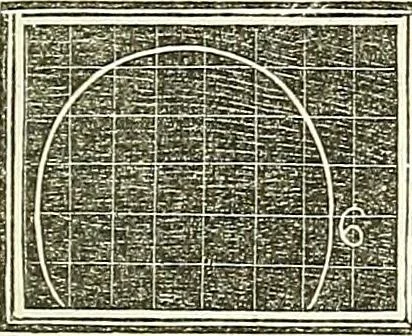 An illustration from A system of phrenology, 1839, leaf 188