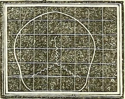 An illustration from A system of phrenology, 1839, leaf 188