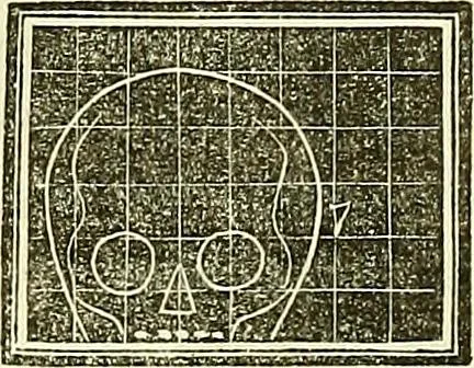 An illustration from A system of phrenology, 1839, leaf 215
