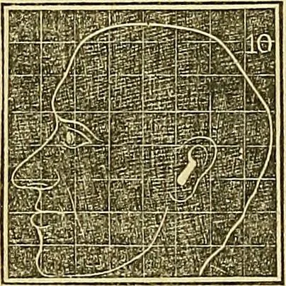An illustration from A system of phrenology, 1839, leaf 243